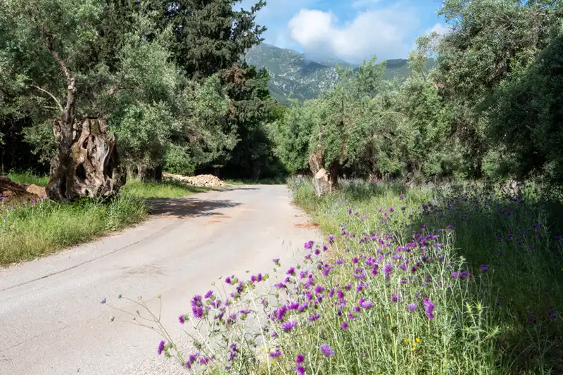 Rustige plek op Lefkas