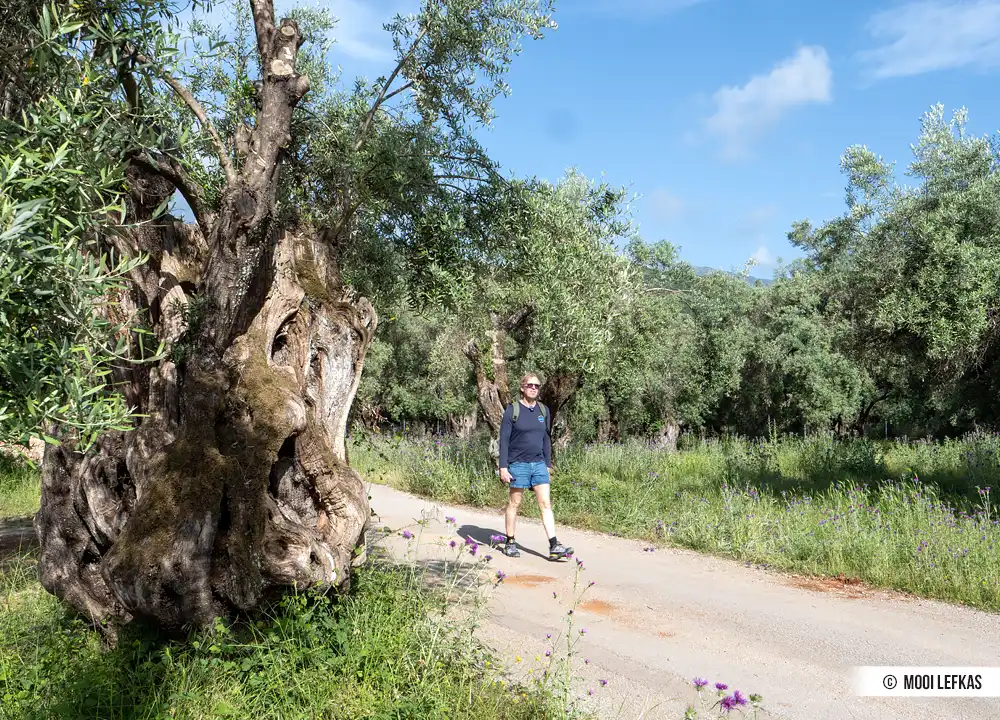 De flora van Lefkas
